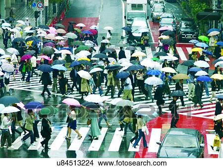 Picture - Car, Casual Clothing, Commuter, Crossing, Crosswalk. Fotosearch