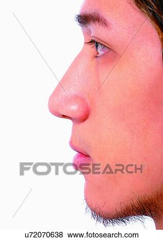Chin, Close-Up, Cornea, Detail, Eye Lashes View Large Photo Image Stock Photo - Chin, Close-Up, Cornea, Detail, Eye Lashes. Fotosearch