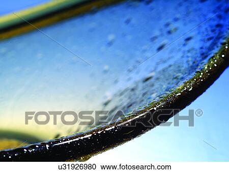 close-up, cold, dew View Large Photo Image Stock Image - close-up, cold, dew. Fotosearch