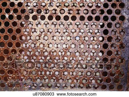 Stock Image - Close-Up, Condition, Corroded, Corrosion, Damage. Fotosearch