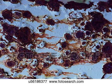 Stock Photo - Close-Up, Condition, Corroded, Corrosion, Damage. Fotosearch