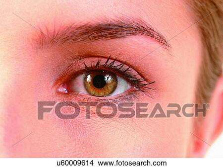 Picture - Close-Up, Cornea, Detail, Eye Lashes, Eyeball. Fotosearch