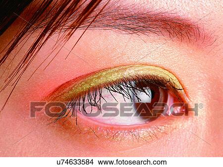 Picture - Close-Up, Cornea, Detail, Eye Lashes, Eyeball. Fotosearch