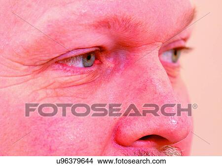 Picture - Close-Up, Cornea, Detail, Eye Lashes, Eyeball. Fotosearch
