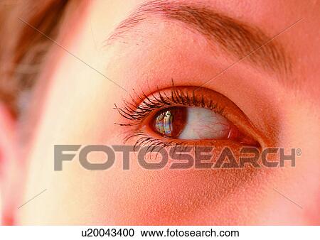Close-Up, Cornea, Detail, Eye Lashes, Eyeball View Large Photo Image Stock Image - Close-Up, Cornea, Detail, Eye Lashes, Eyeball. Fotosearch