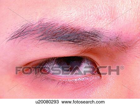 Close-Up, Cornea, Detail, Eye Lashes, Eyeball View Large Photo Image Stock Image - Close-Up, Cornea, Detail, Eye Lashes, Eyeball. Fotosearch