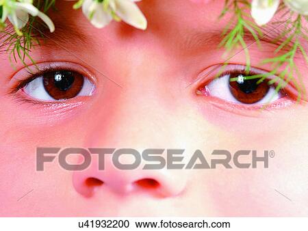 Stock Image - Close-Up, Cornea, Detail, Eye Lashes, Eyeball. Fotosearch