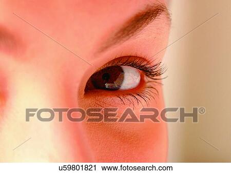 Stock Image - Close-Up, Cornea, Detail, Eye Lashes, Eyeball. Fotosearch