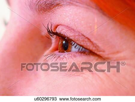 Stock Image - Close-Up, Cornea, Detail, Eye Lashes, Eyeball. Fotosearch