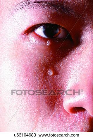 Stock Image - Close-Up, Cornea, Detail, Eye Lashes, Eyeball. Fotosearch