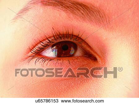 Stock Image - Close-Up, Cornea, Detail, Eye Lashes, Eyeball. Fotosearch