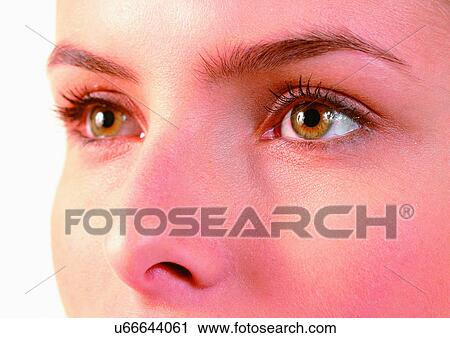 Stock Image - Close-Up, Cornea, Detail, Eye Lashes, Eyeball. Fotosearch