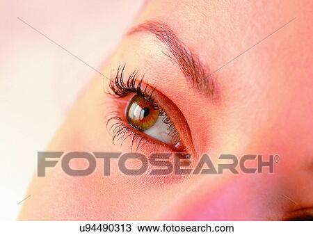 Close-Up, Cornea, Detail, Eye Lashes, Eyeball View Large Photo Image Stock Image - Close-Up, Cornea, Detail, Eye Lashes, Eyeball. Fotosearch
