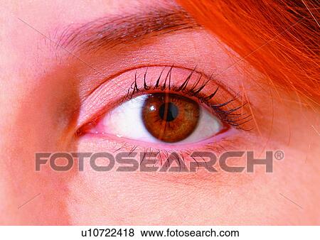 Stock Photo - Close-Up, Cornea, Detail, Eye Lashes, Eyeball. Fotosearch