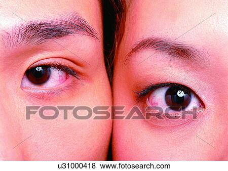 Close-Up, Cornea, Detail, Eye Lashes, Eyeball View Large Photo Image Stock Photo - Close-Up, Cornea, Detail, Eye Lashes, Eyeball. Fotosearch