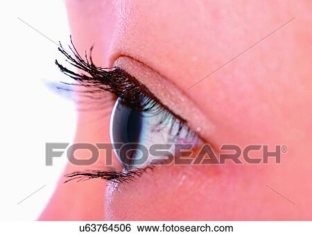 Stock Photograph - Close-Up, Cornea, Detail, Eye Lashes, Eyeball. Fotosearch