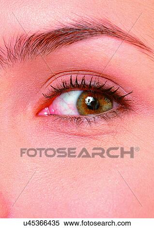 Stock Photography - Close-Up, Cornea, Detail, Eye Lashes, Eyeball. Fotosearch