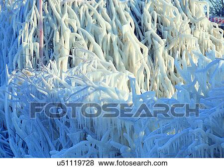 Close-Up, Day, Full Frame View Large Photo Image Stock Photo - Close-Up, Day, Full Frame. Fotosearch