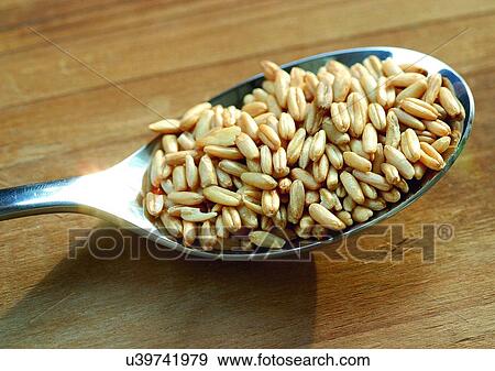 Stock Photo - Close-Up, Day, Indoor. Fotosearch