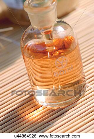Close-Up, Day, One Object, Outdoor View Large Photo Image Stock Photograph - Close-Up, Day, One Object, Outdoor. Fotosearch