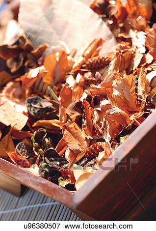 Close-Up, Day, Outdoor, Part Of View Large Photo Image Stock Photo - Close-Up, Day, Outdoor, Part Of. Fotosearch