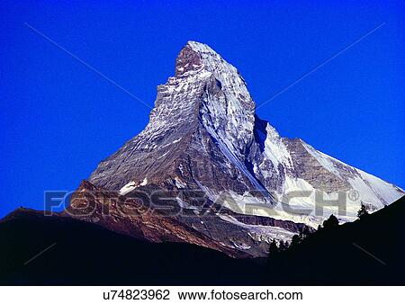 Close-Up, Day, Outdoor View Large Photo Image Stock Image - Close-Up, Day, Outdoor. Fotosearch