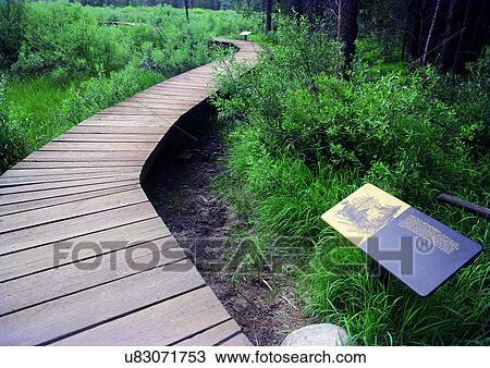 Close-Up, Day, Outdoor View Large Photo Image Stock Image - Close-Up, Day, Outdoor. Fotosearch