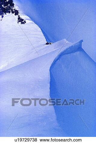 Close-Up, Day, Outdoor View Large Photo Image Stock Photo - Close-Up, Day, Outdoor. Fotosearch