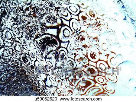 close-up, design, dew View Large Photo Image Stock Image - close-up, design, dew. Fotosearch