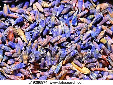 Picture - Close-Up, Flavor, Dried, Day, Aromatic. Fotosearch