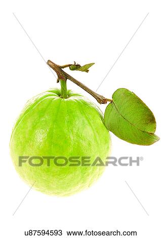 Stock Image - close-up, fresh fruit, freshness, green. Fotosearch