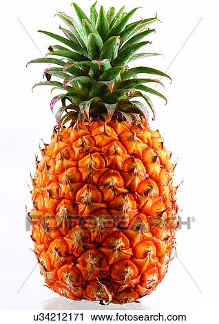 close-up, fresh fruit, freshness, healthy eating View Large Photo Image Stock Image - close-up, fresh fruit, freshness, healthy eating. Fotosearch