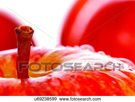 close-up, freshness, fresh fruit, apple View Large Photo Image Stock Photo - close-up, freshness, fresh fruit, apple. Fotosearch