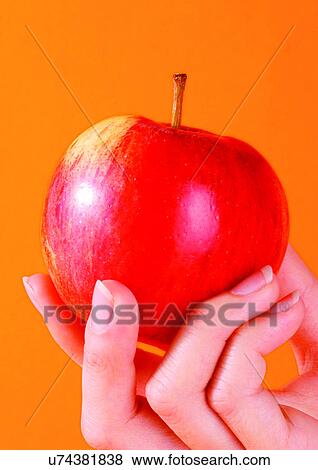 close-up, freshness, fresh fruit, apple View Large Photo Image Stock Photo - close-up, freshness, fresh fruit, apple. Fotosearch