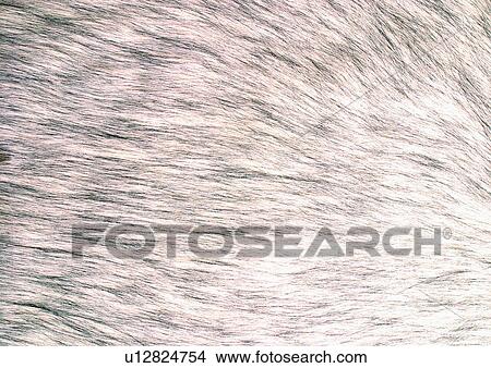 Picture - Close-Up, Full Frame. Fotosearch