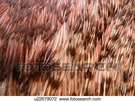 Stock Image - Close-Up, Full Frame. Fotosearch
