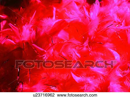 Close-Up, Full Frame View Large Photo Image Stock Image - Close-Up, Full Frame. Fotosearch