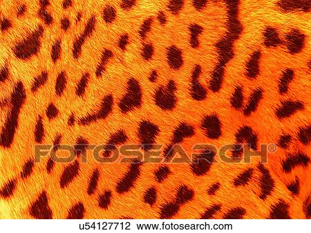 Close-Up, Full Frame View Large Photo Image Stock Image - Close-Up, Full Frame. Fotosearch