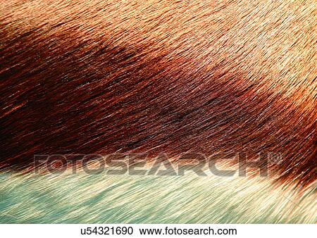 Stock Image - Close-Up, Full Frame. Fotosearch