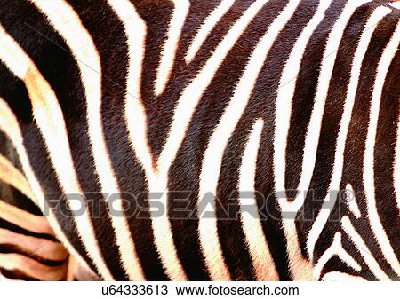 Close-Up, Full Frame View Large Photo Image Stock Image - Close-Up, Full Frame. Fotosearch