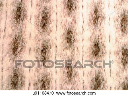 Close-Up, Full Frame View Large Photo Image Stock Image - Close-Up, Full Frame. Fotosearch