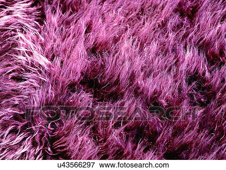 Stock Photo - Close-Up, Full Frame. Fotosearch