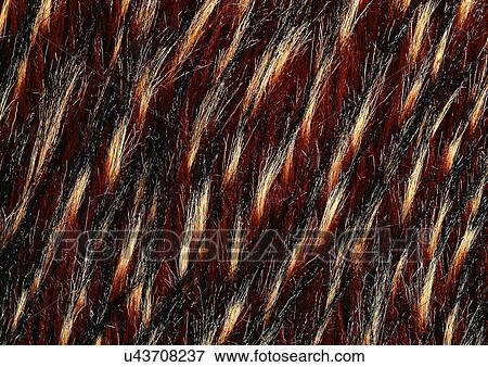 Close-Up, Full Frame View Large Photo Image Stock Photo - Close-Up, Full Frame. Fotosearch