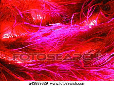Close-Up, Full Frame View Large Photo Image Stock Photo - Close-Up, Full Frame. Fotosearch