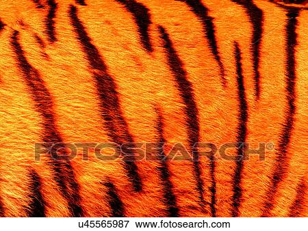 Close-Up, Full Frame View Large Photo Image Stock Photo - Close-Up, Full Frame. Fotosearch