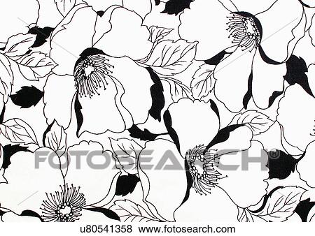 Stock Photo - Close-Up, Full Frame. Fotosearch