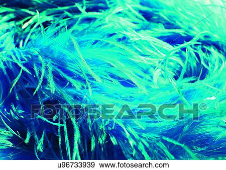 Stock Photo - Close-Up, Full Frame. Fotosearch