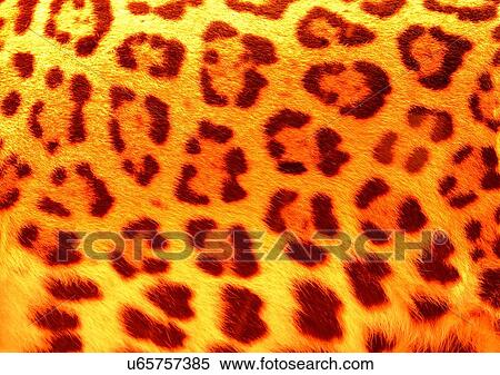 Stock Photography - Close-Up, Full Frame. Fotosearch
