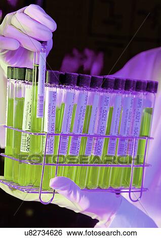 Stock Photograph - Close-Up, Group Of Objects, Field, Development, Advancement. Fotosearch