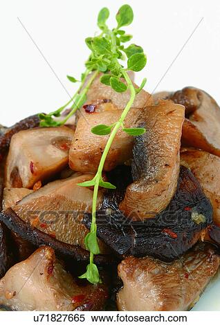 Close-Up, Indoor, Still Life View Large Photo Image Stock Photography - Close-Up, Indoor, Still Life. Fotosearch
